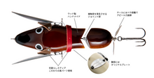 画像をギャラリービューアに読み込む, Fish Arrow/WING DACHS-kun