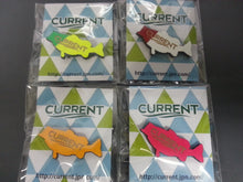 画像をギャラリービューアに読み込む, CURRENT/BASS PINS
