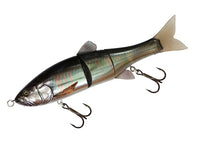 画像をギャラリービューアに読み込む, RTミラーオイカワ
